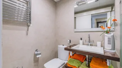 Apartment in La Pineda photo 33