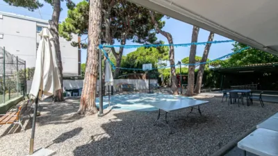 Apartment in La Pineda photo 44