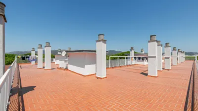 Apartment in La Pineda photo 47