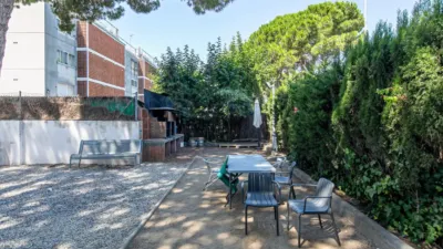 Apartment in La Pineda photo 45