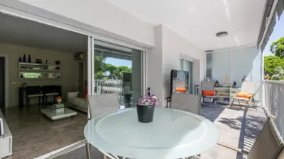 Apartment in La Pineda photo 5