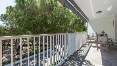 Apartment in La Pineda photo 7