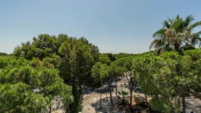 Apartment in La Pineda photo 48