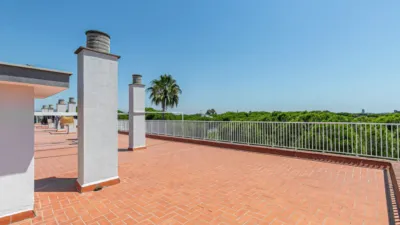 Apartment in La Pineda photo 49
