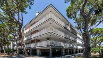 Apartment in La Pineda photo 50
