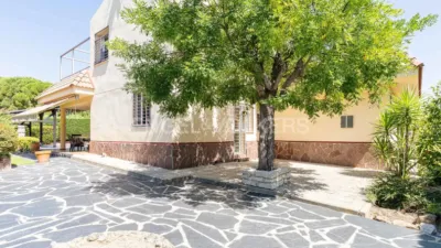 House in La Canaleja Street Area photo 37