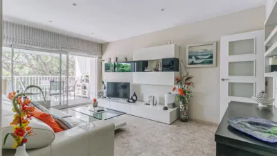 Apartment in La Pineda photo 3