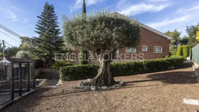 House in Fontpineda photo 73