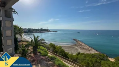 Chalet in Cabo Roig-La Zenia-La Regia photo 2