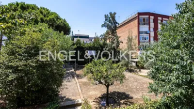 House in Marianao photo 45