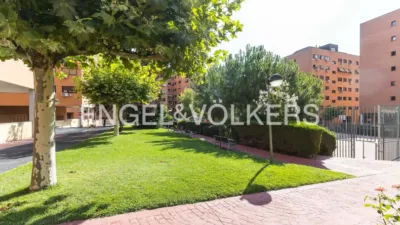 Apartment in Valderrivas photo 32