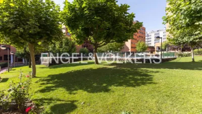 Apartment in Valderrivas photo 33
