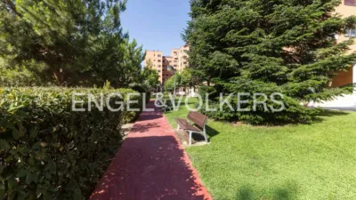 Apartment in Valderrivas photo 22