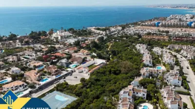 Apartment in Cabo Roig-La Zenia-La Regia photo 27