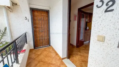 Apartment in Cabo Roig-La Zenia-La Regia photo 17