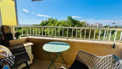 Pis – Torrevieja - Vista 4