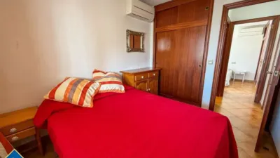 Apartment in Cabo Roig-La Zenia-La Regia photo 16