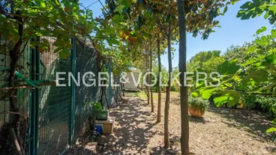 Terraced House on Carrer Major photo 53