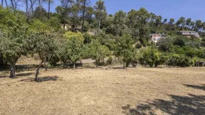 House in Torrelles de Llobregat photo 9