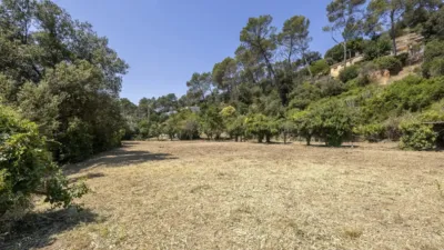 House in Torrelles de Llobregat photo 12