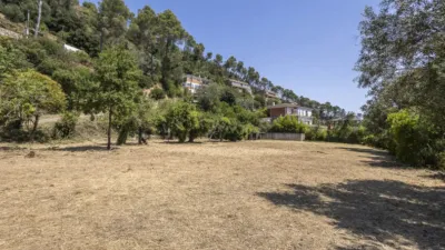 House in Torrelles de Llobregat photo 10