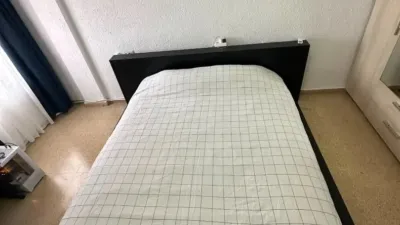 Apartment in Cheste photo 17