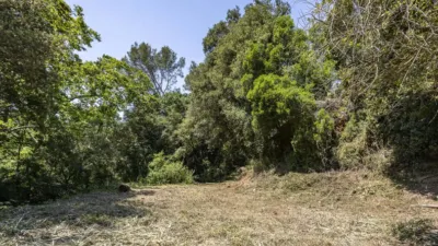 House in Torrelles de Llobregat photo 6