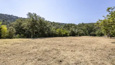 House in Torrelles de Llobregat photo 14