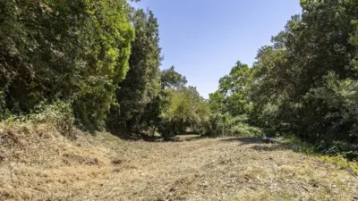 House in Torrelles de Llobregat photo 4