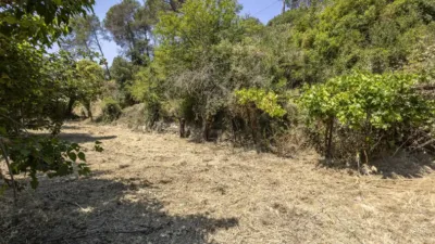 House in Torrelles de Llobregat photo 15