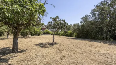 House in Torrelles de Llobregat photo 8