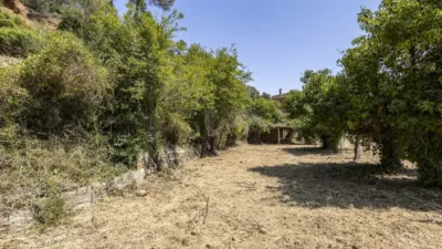 House in Torrelles de Llobregat photo 16