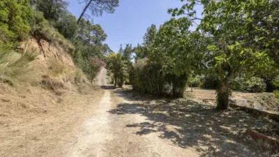 House in Torrelles de Llobregat photo 5