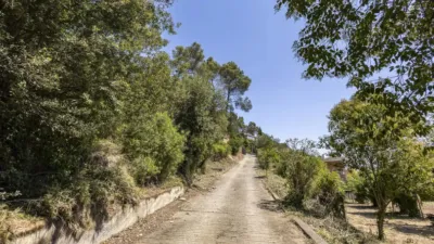 House in Torrelles de Llobregat photo 17