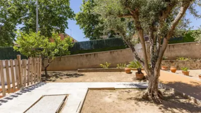 House in El Torrent Ballester-Can Palmer-Can Batllori photo 51