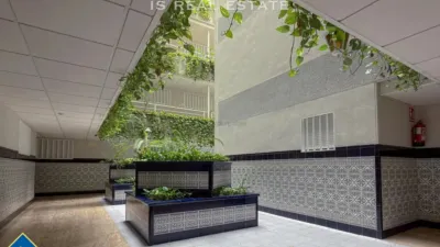 Apartment in Playa del Cura photo 27