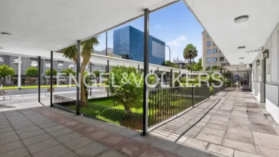 Apartment in La Buhaira-San Bernardo photo 43