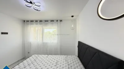 Apartment in Cabo Roig-La Zenia-La Regia photo 24