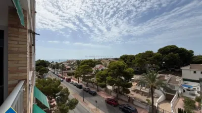 Apartment in Cabo Roig-La Zenia-La Regia photo 44