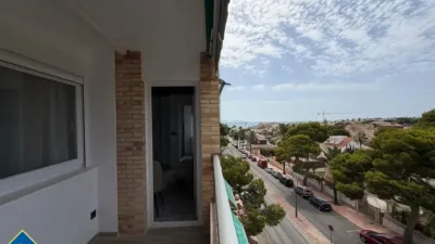 Apartment in Cabo Roig-La Zenia-La Regia photo 42