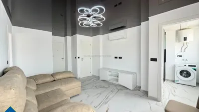 Apartment in Cabo Roig-La Zenia-La Regia photo 8
