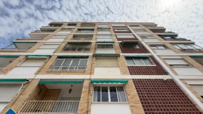 Apartment in Cabo Roig-La Zenia-La Regia photo 55