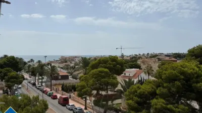 Apartment in Cabo Roig-La Zenia-La Regia photo 45