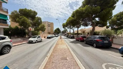 Apartment in Cabo Roig-La Zenia-La Regia photo 60