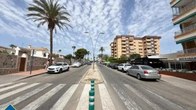Apartment in Cabo Roig-La Zenia-La Regia photo 58