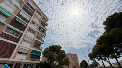 Apartment in Cabo Roig-La Zenia-La Regia photo 59