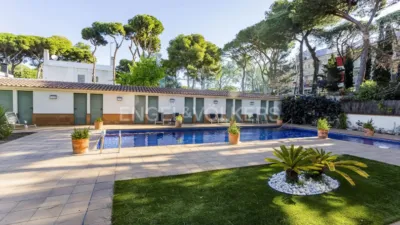 Apartment in La Pineda photo 42