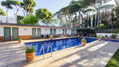 Apartment in La Pineda photo 45