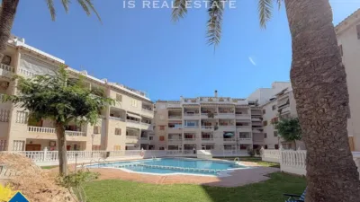 Pis – Torrevieja - Vista 3