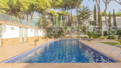 Apartment in La Pineda photo 40